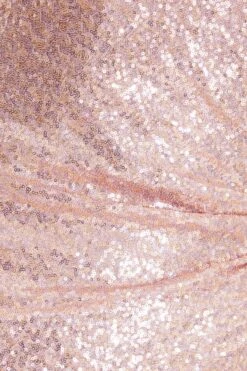 Blush Pink Sequin Ruched Maxi Dress -Dazzle Dresses 00100035947 ZS