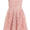 Pink Chiffon Floral Mini Dress