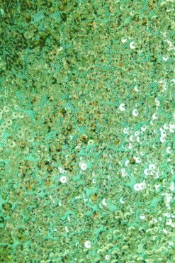 Green Sequin Ruched Bodycon Maxi Dress -Dazzle Dresses 00100036822 ZS